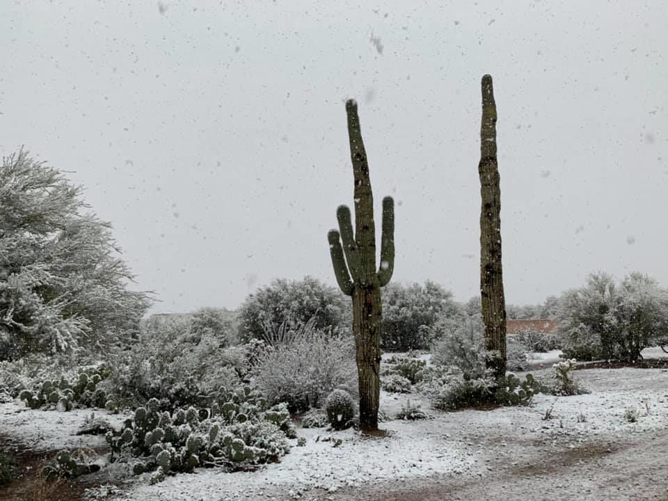 Snow in Drexel-Heights